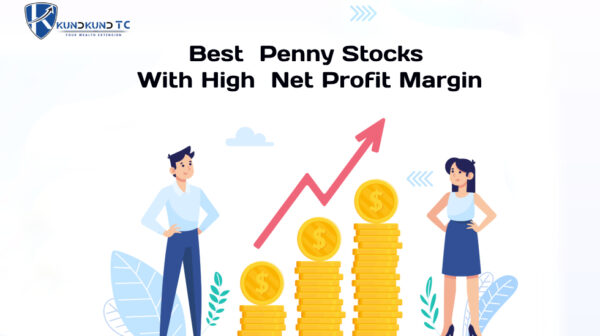 Best Penny Stocks With High Net Profit Margin