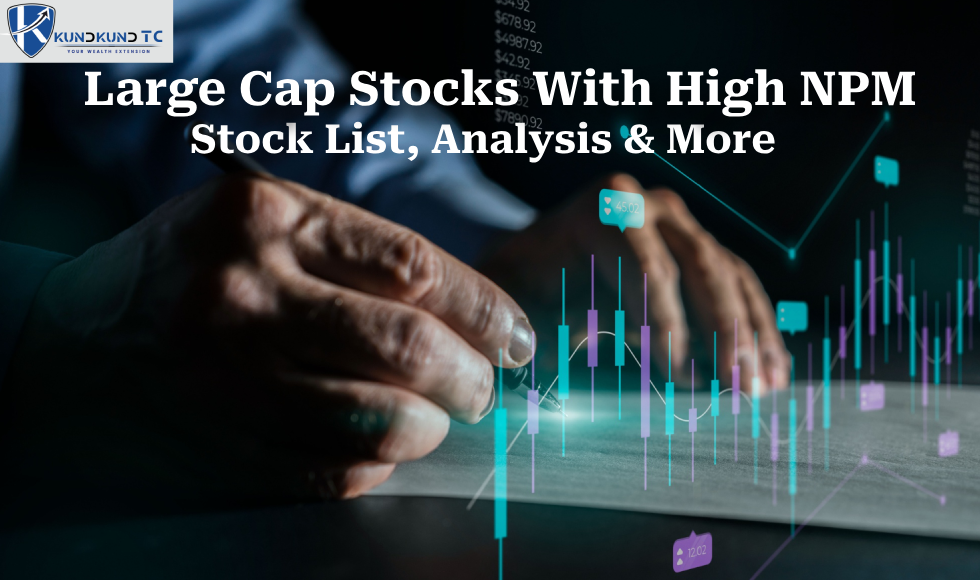 Large Cap Stocks With High NPM – Stock List, Analysis & More